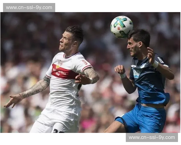 霍芬海姆3-0击败弗赖堡,曹法尔助攻双响展现边路威力 霍芬海姆3-0击败弗赖堡,曹法尔助攻双响展现边路威力